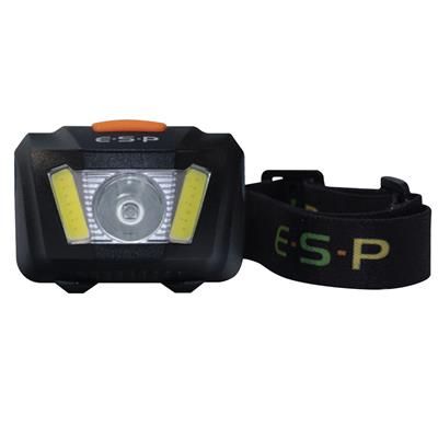 ESP Flood Light